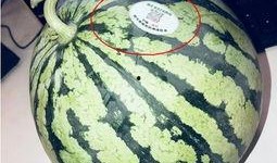 贵阳网红吃瓜,揭秘城市美食新潮流